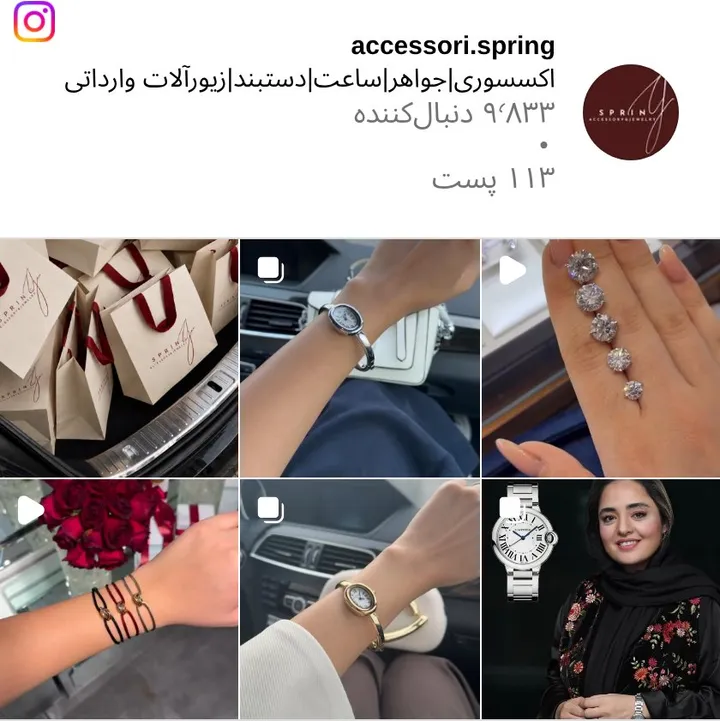 اسکرینشات پیج accessori.spring