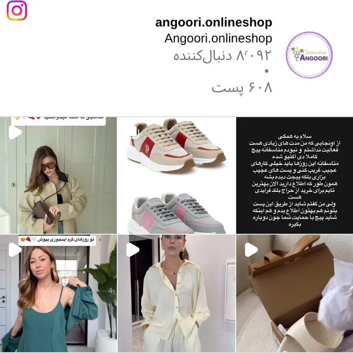 اسکرین‌شات پیج angoori.onlineshop