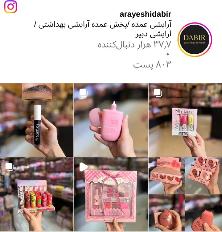 اسکرین‌شات پیج arayeshidabir