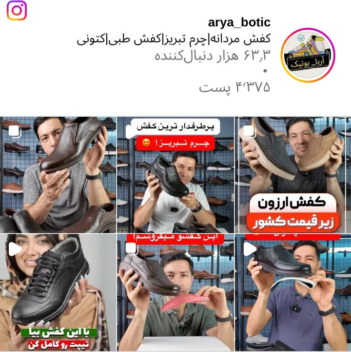 اسکرین‌شات پیج arya_botic