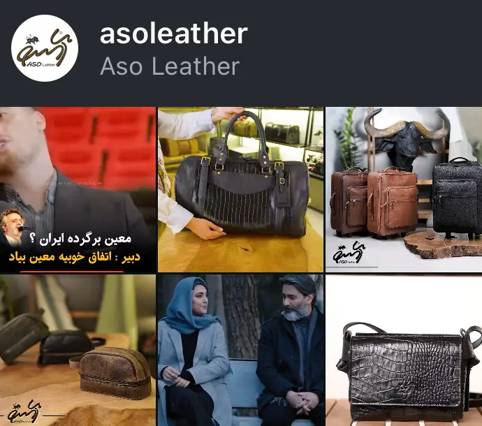 اسکرین‌شات پیج asoleather