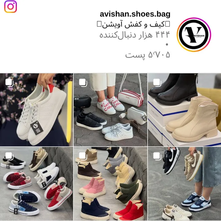 اسکرین‌شات پیج avishan.shoes.bag