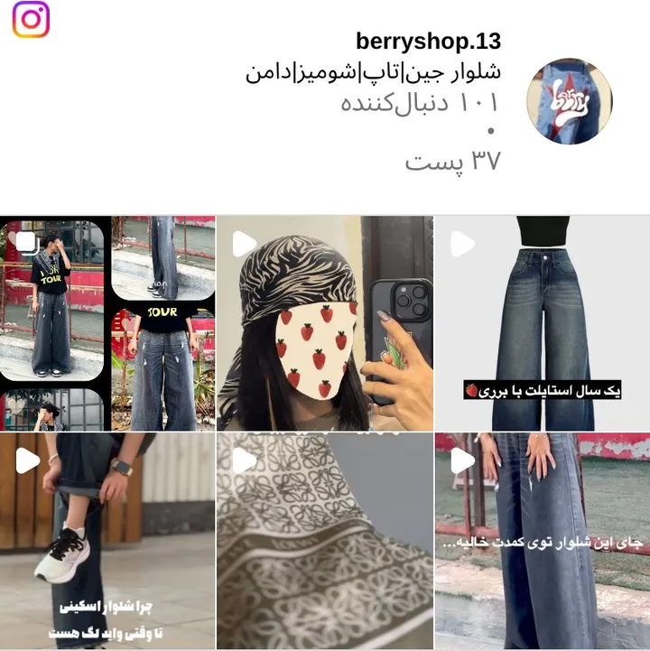 اسکرین‌شات پیج berryshop.13