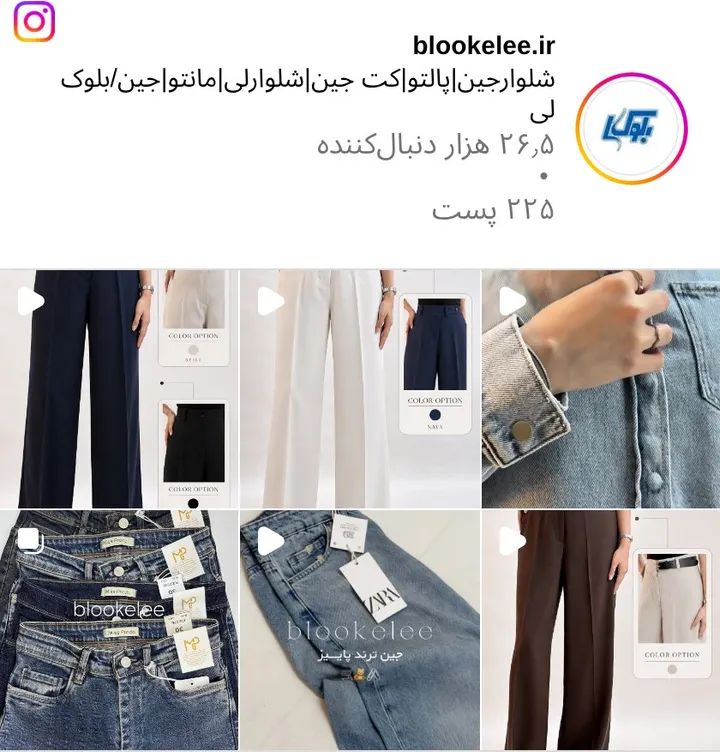 اسکرین‌شات پیج blookelee.ir