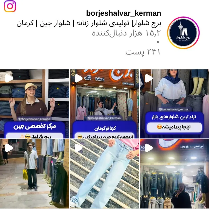 اسکرین‌شات پیج borjeshalvar_kerman