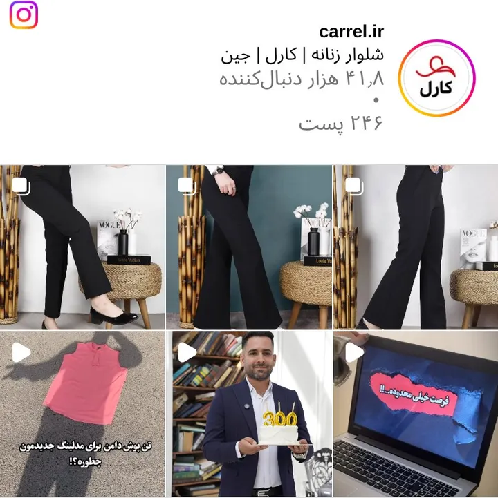 اسکرین‌شات پیج carrel.ir