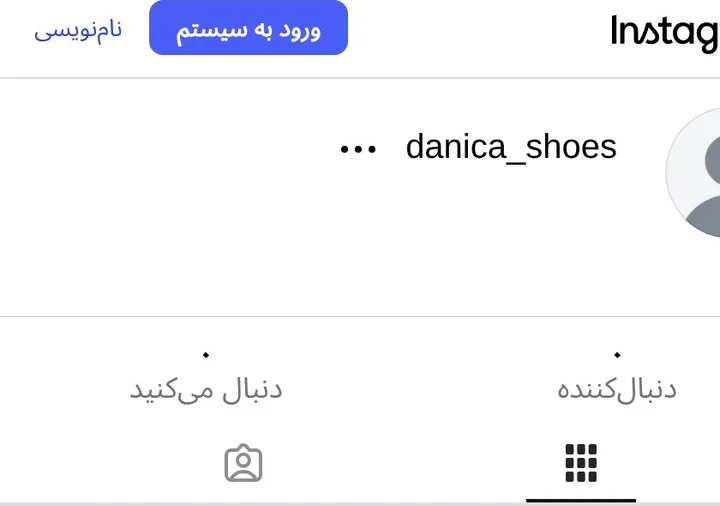 اسکرینشات پیج danica_shoes