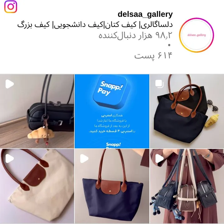 اسکرین‌شات پیج delsaa_gallery