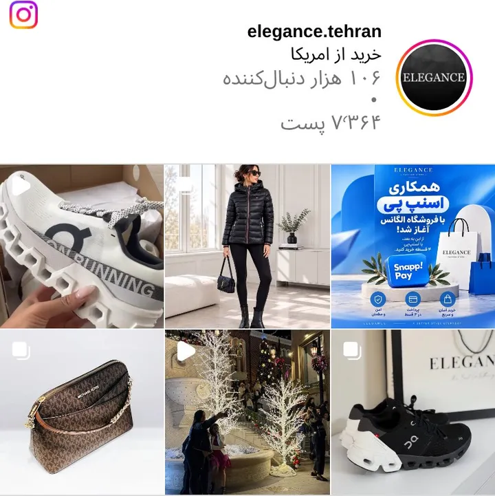 اسکرین‌شات پیج elegance.tehran