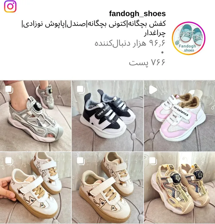 اسکرین‌شات پیج fandogh_shoes