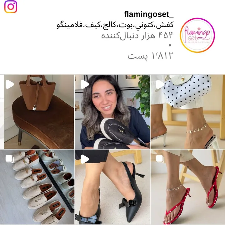اسکرینشات پیج flamingoset_