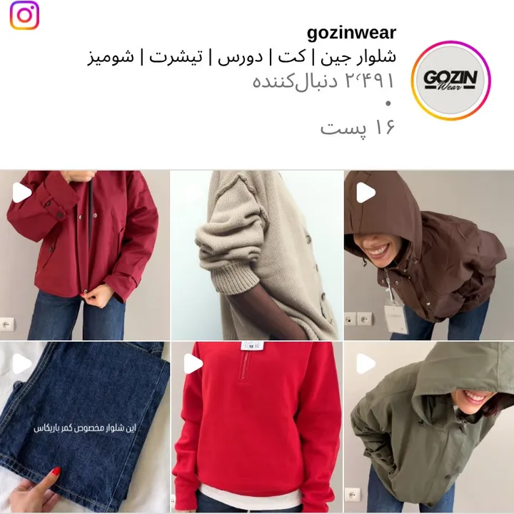 اسکرین‌شات پیج gozinwear