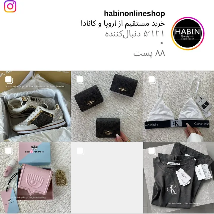 اسکرین‌شات پیج habinonlineshop