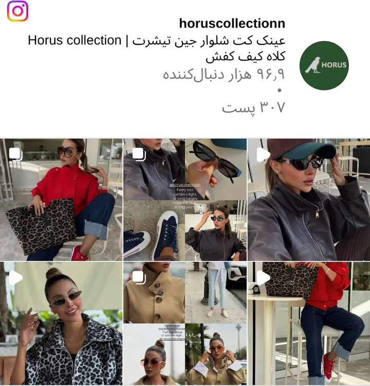 اسکرین‌شات پیج horuscollectionn