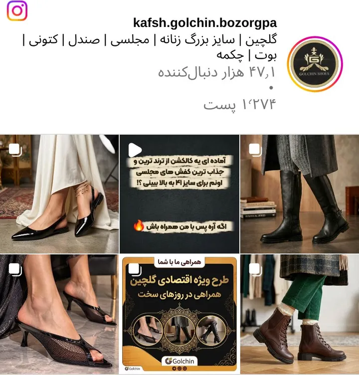 اسکرینشات پیج kafsh.golchin.bozorgpa