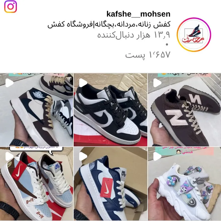 اسکرین‌شات پیج kafshe__mohsen