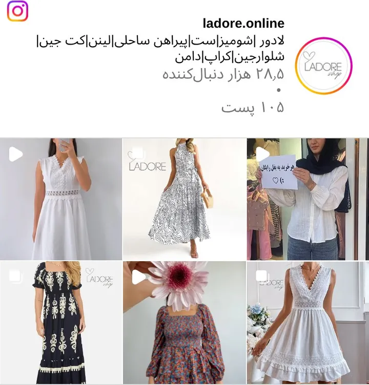 اسکرین‌شات پیج ladore.online