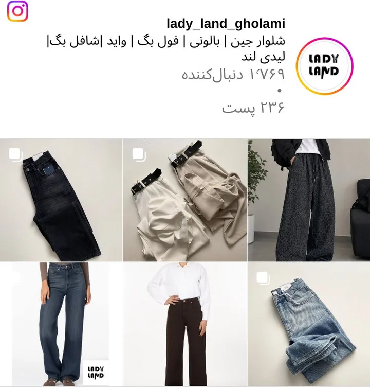 اسکرین‌شات پیج lady_land_gholami