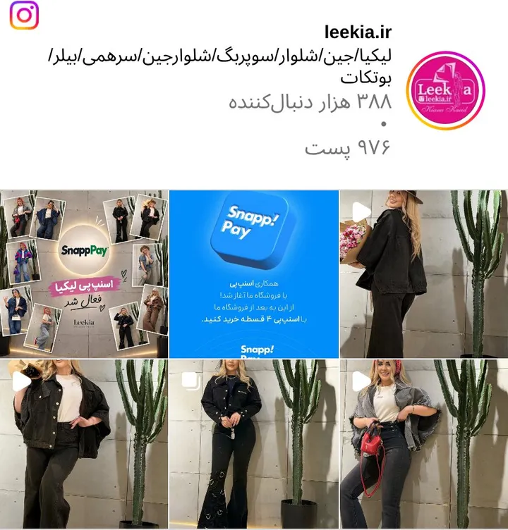 اسکرین‌شات پیج leekia.ir