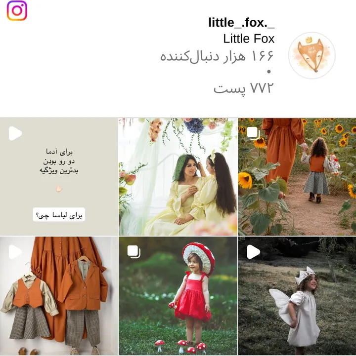 اسکرینشات پیج little_.fox._