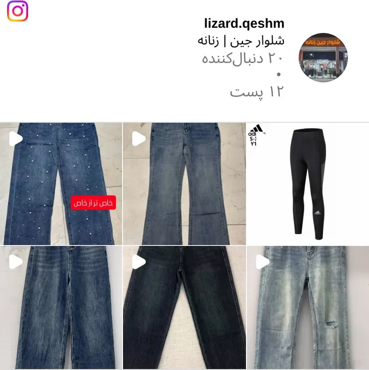 اسکرین‌شات پیج lizard.qeshm