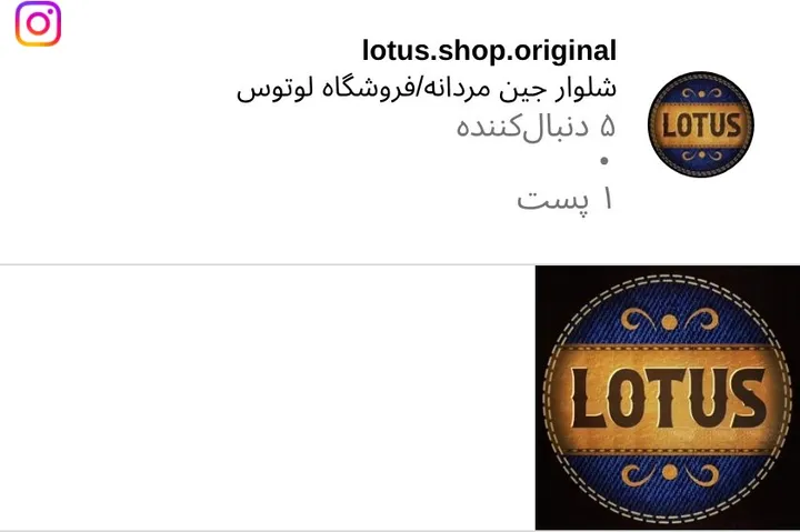 اسکرین‌شات پیج lotus.shop.original