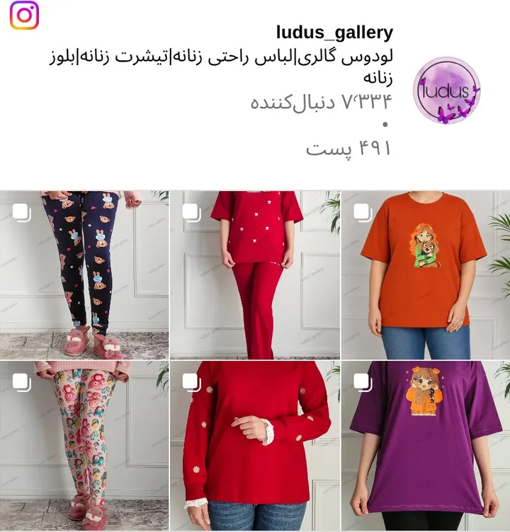 اسکرین‌شات پیج ludus_gallery