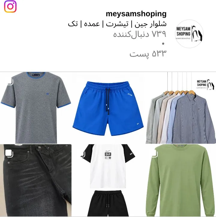 اسکرین‌شات پیج meysamshoping