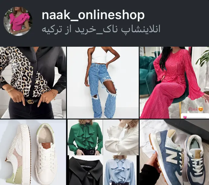 اسکرین‌شات پیج naak_onlineshop
