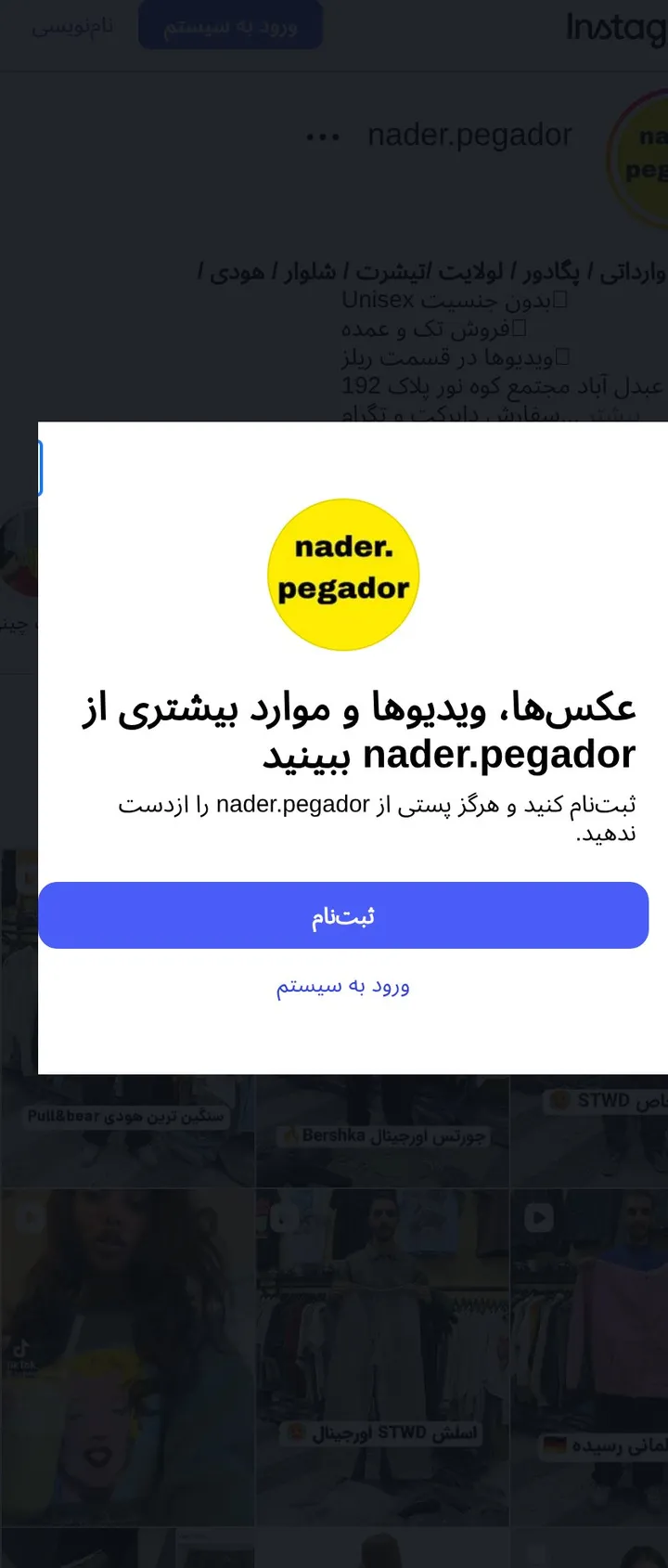 اسکرین‌شات پیج nader.pegador