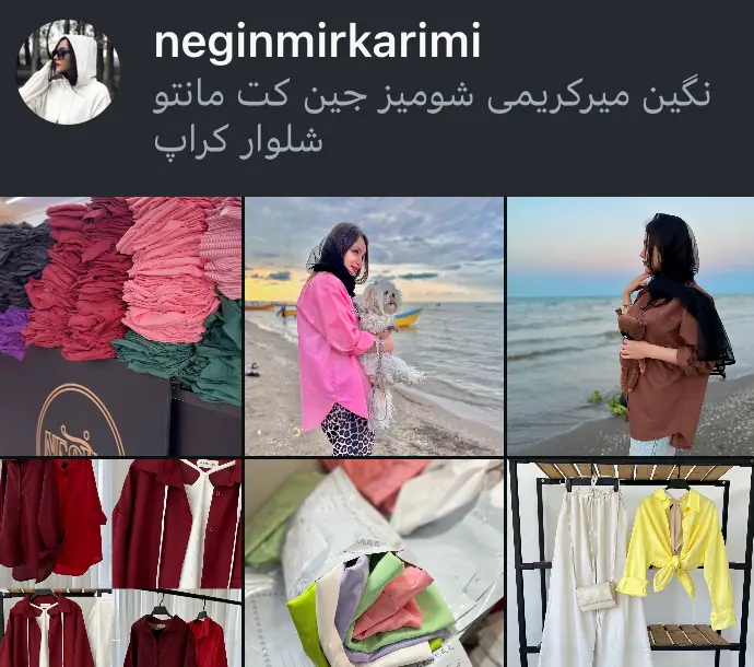 اسکرین‌شات پیج neginmirkarimi
