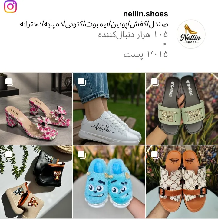 اسکرین‌شات پیج nellin.shoes
