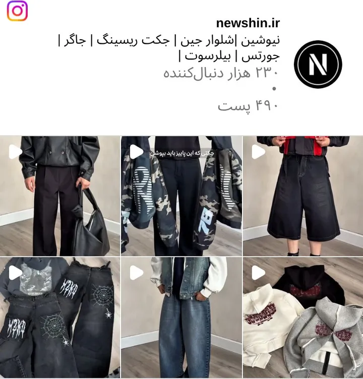 اسکرین‌شات پیج newshin.ir