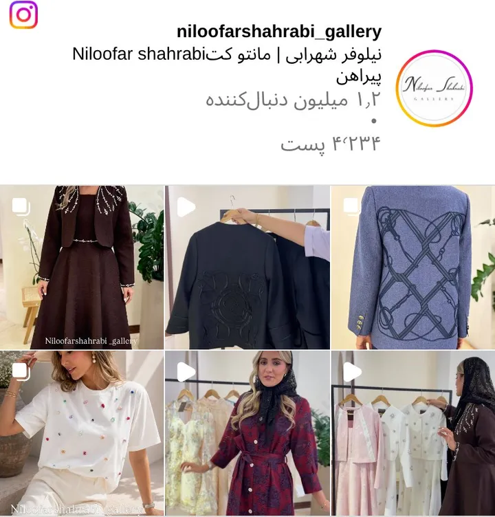 اسکرینشات پیج niloofarshahrabi_gallery