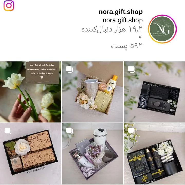 اسکرین‌شات پیج nora.gift.shop