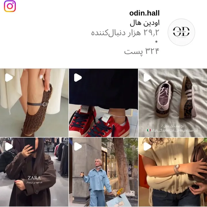 اسکرین‌شات پیج odin.hall