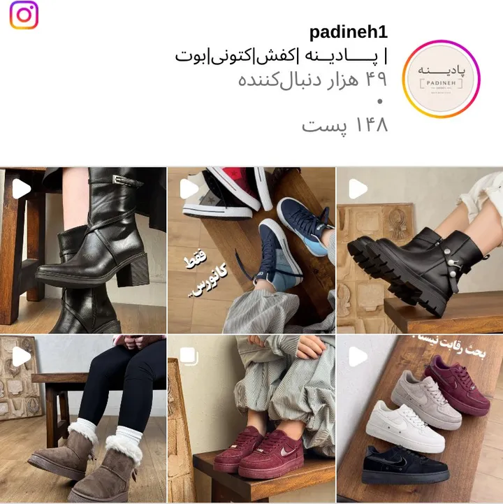 اسکرین‌شات پیج padineh1