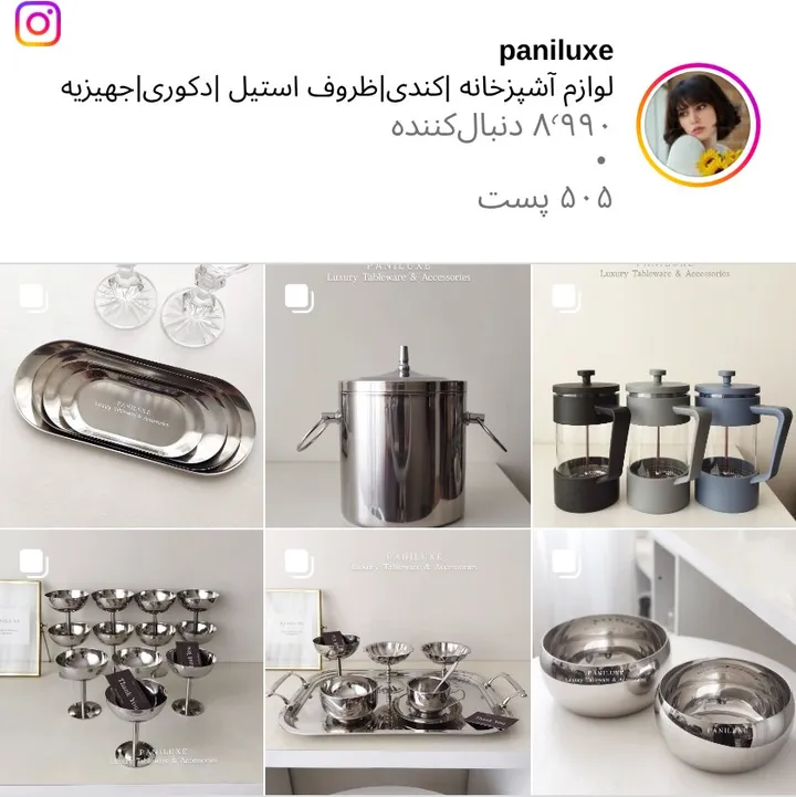 اسکرین‌شات پیج paniluxe