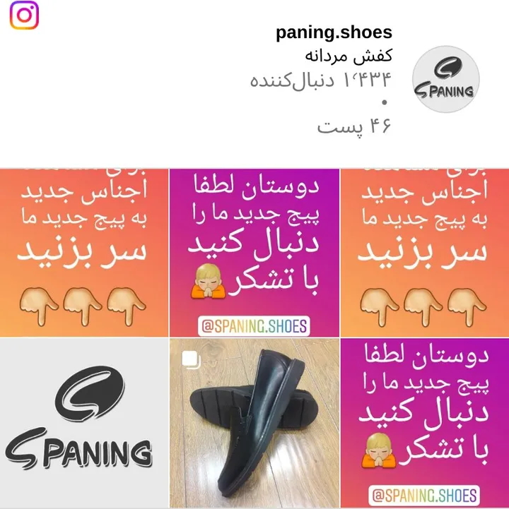 اسکرین‌شات پیج paning.shoes