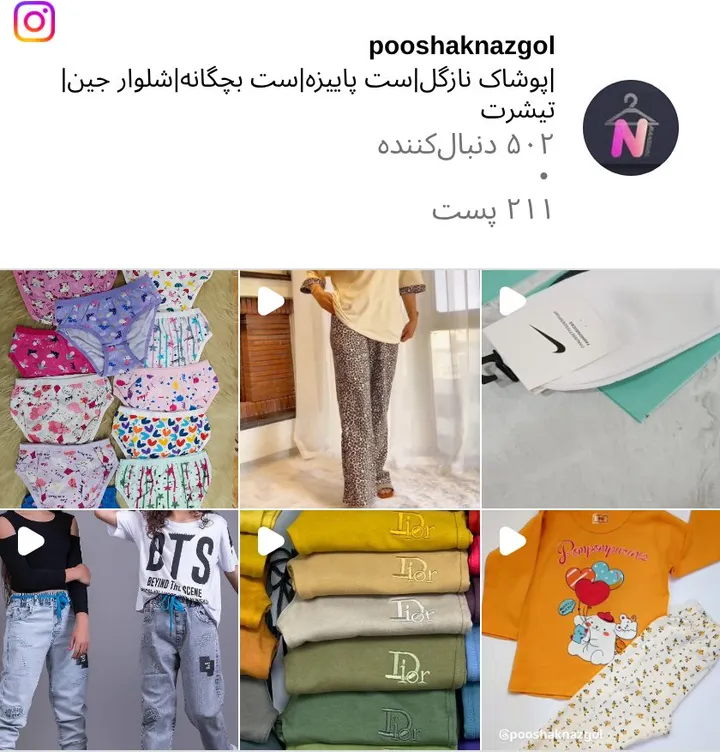اسکرین‌شات پیج pooshaknazgol