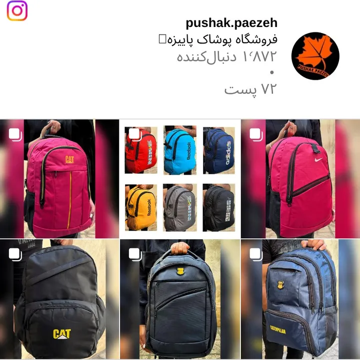 اسکرین‌شات پیج pushak.paezeh