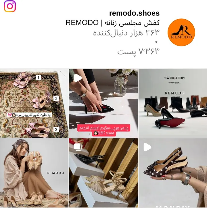 اسکرین‌شات پیج remodo.shoes