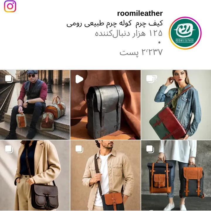 اسکرین‌شات پیج roomileather