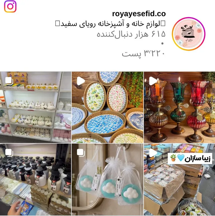اسکرین‌شات پیج royayesefid.co