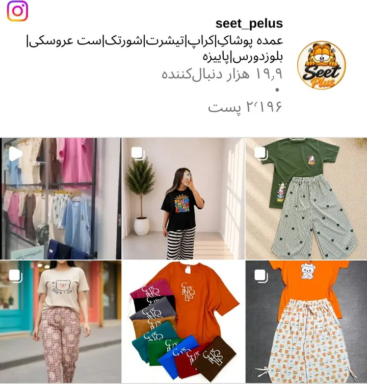اسکرین‌شات پیج seet_pelus