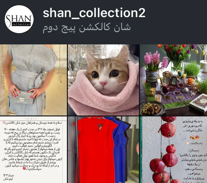 اسکرین‌شات پیج shan_collection2