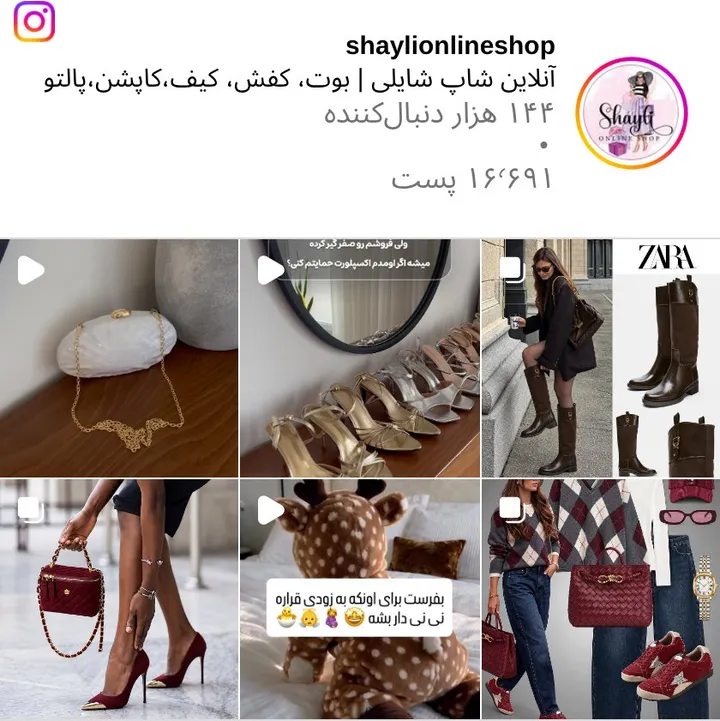 اسکرینشات پیج shaylionlineshop