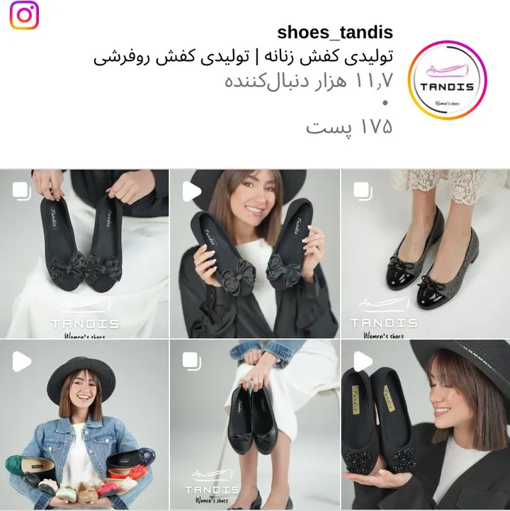 اسکرین‌شات پیج shoes_tandis