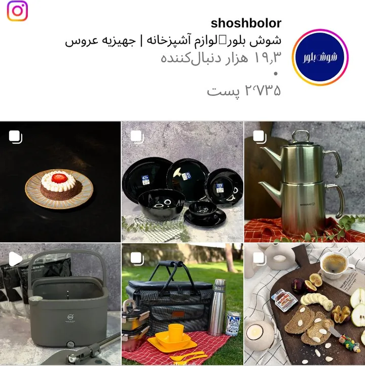 اسکرین‌شات پیج shoshbolor