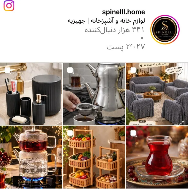 اسکرین‌شات پیج spinelll.home